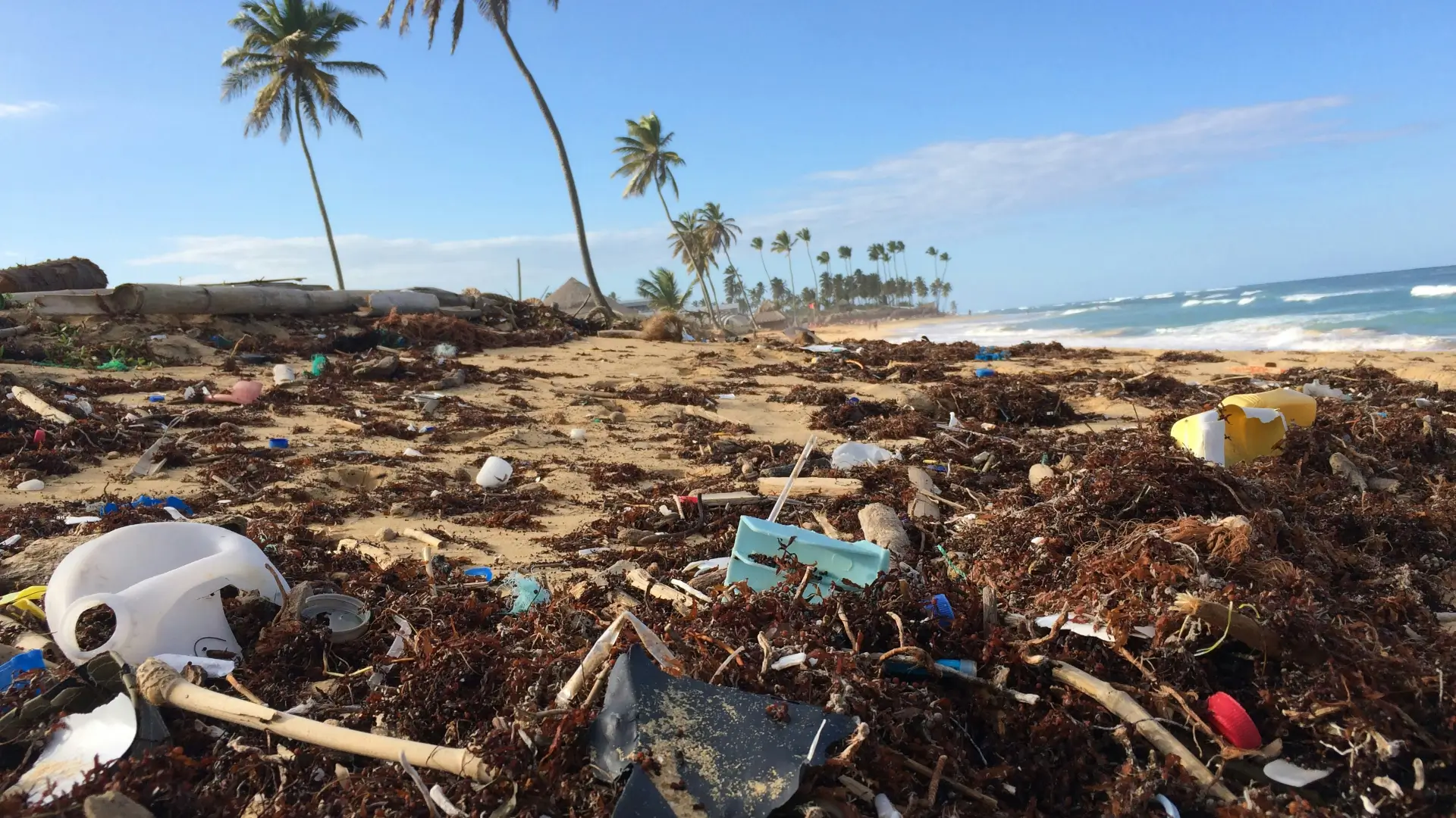polluted beach