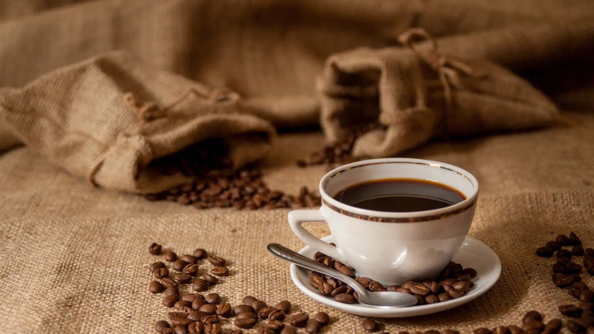 coffee beans cup