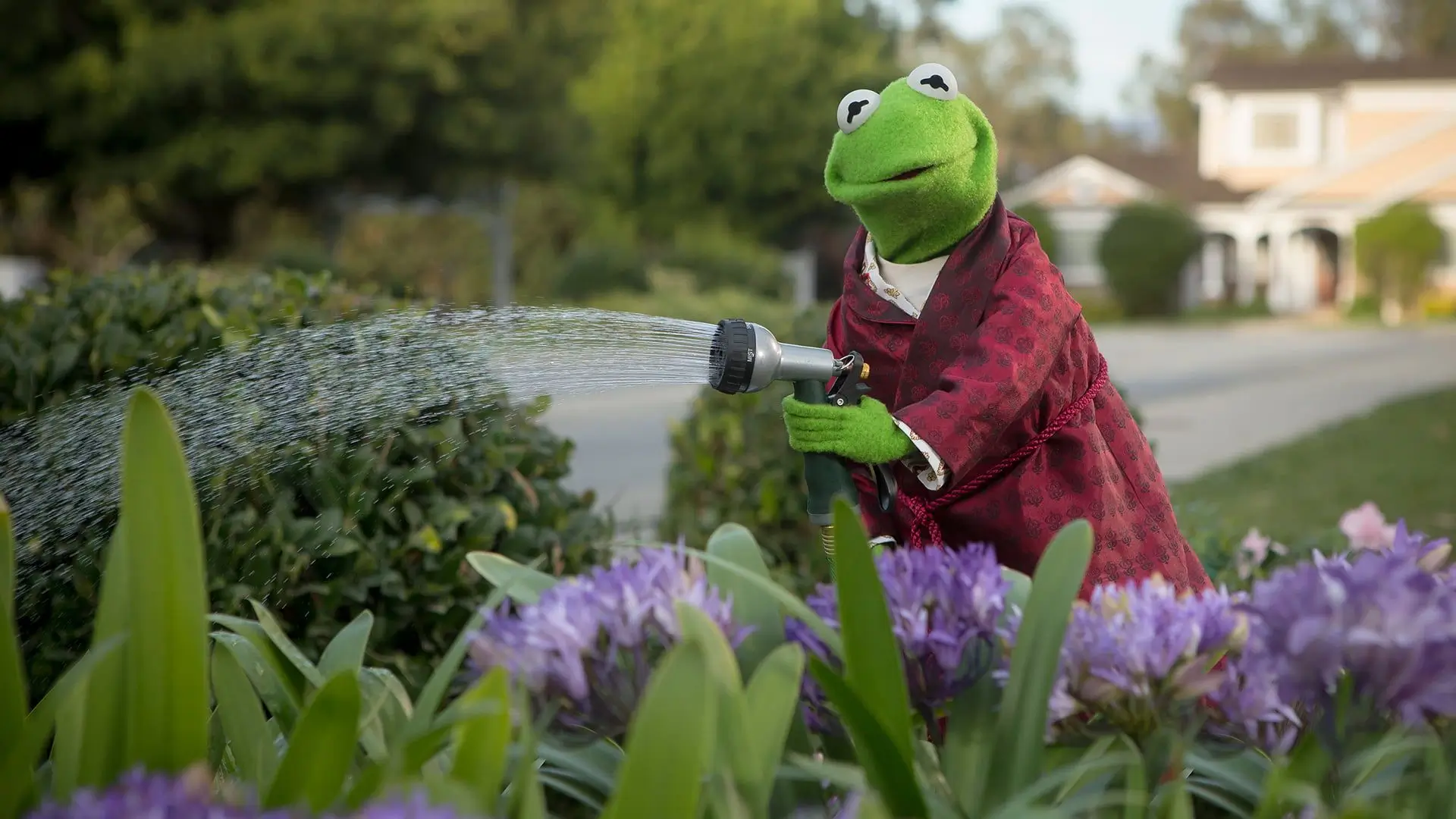 kermit watering flowers