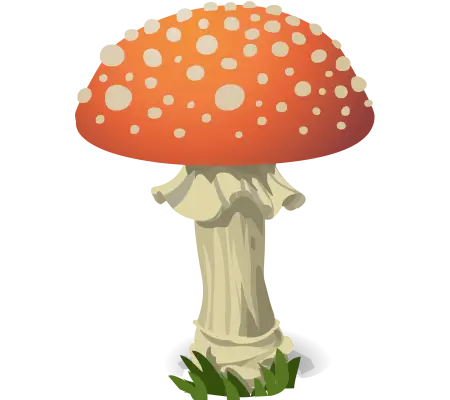 mushroom