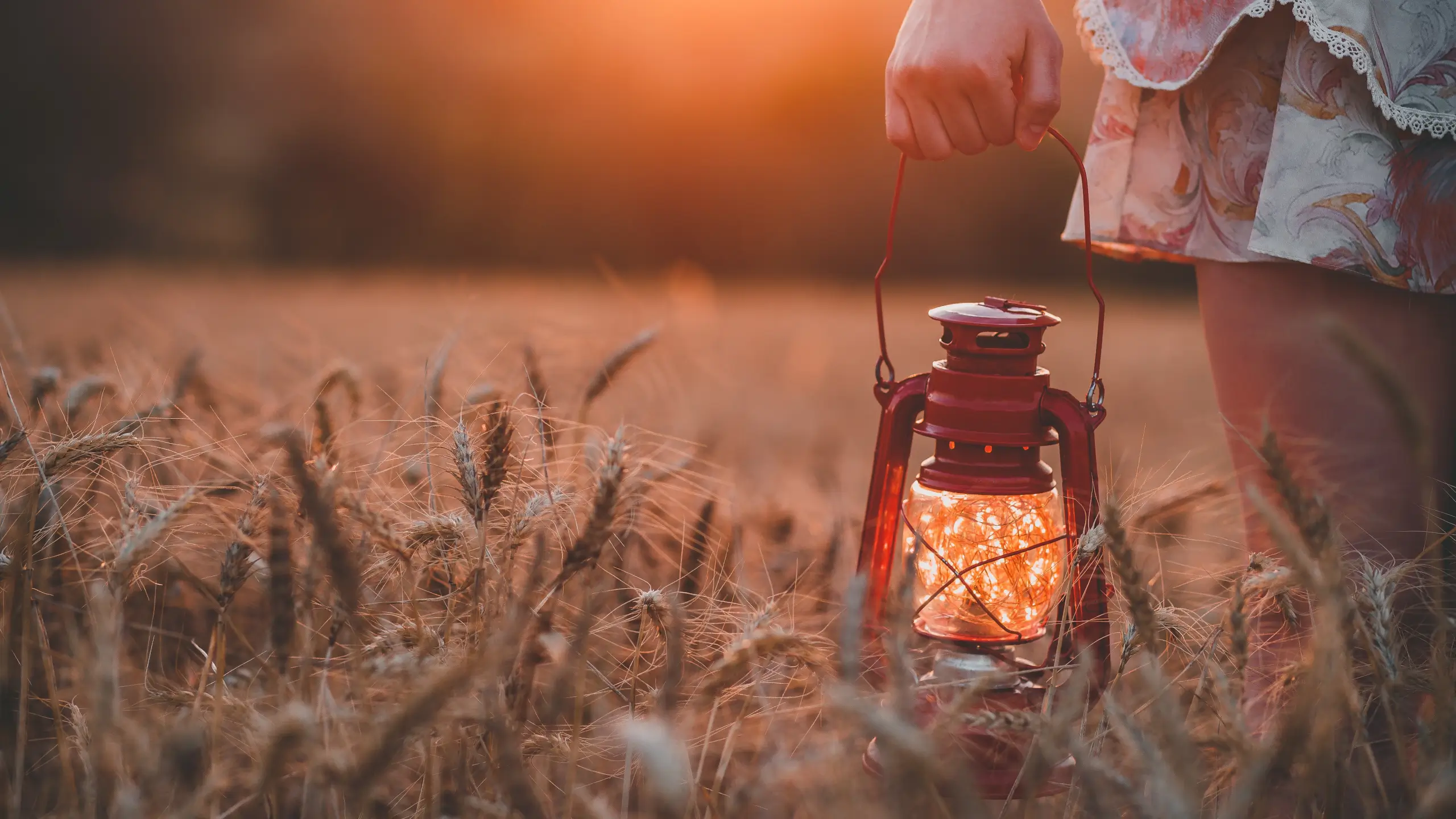 girld holding lantern walking through wheat field