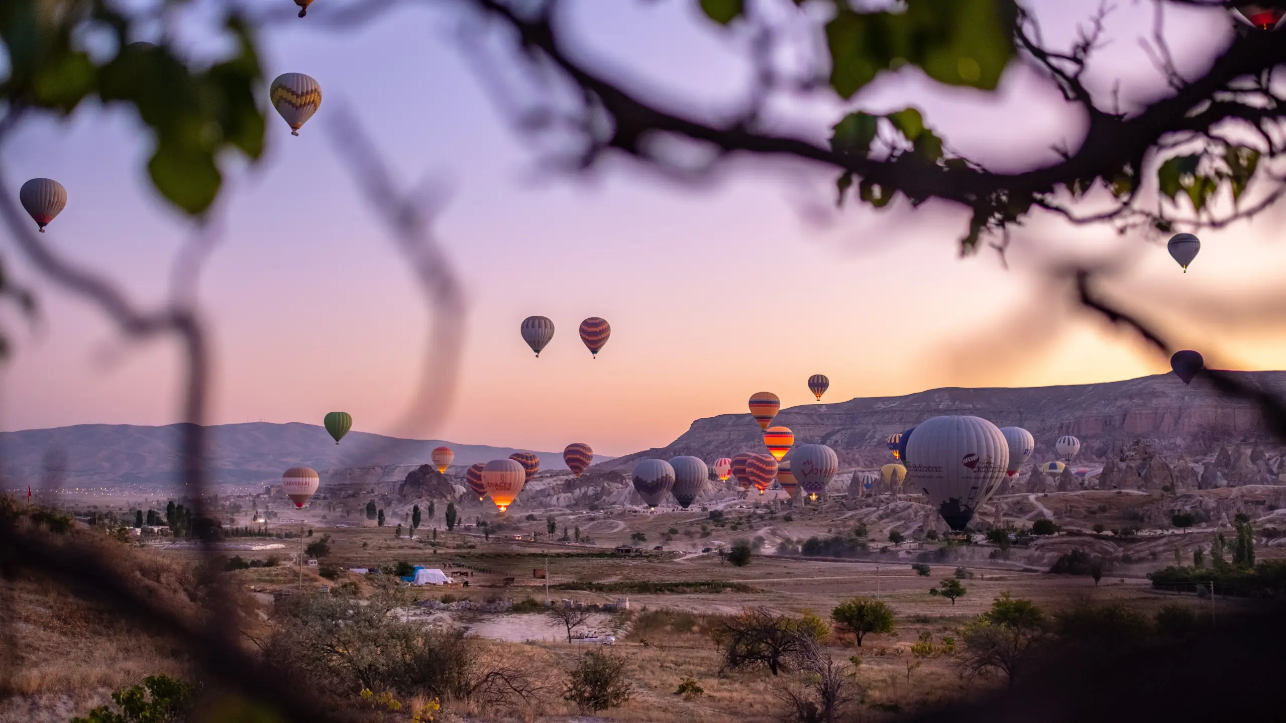hot air balloons