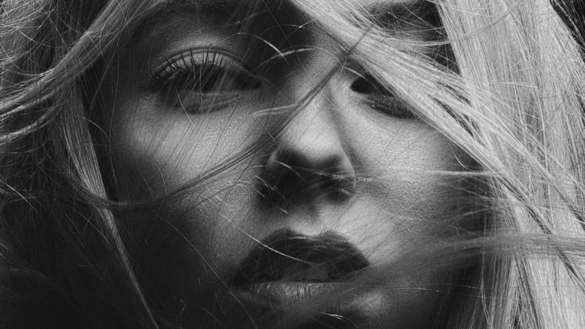 black and white closeup