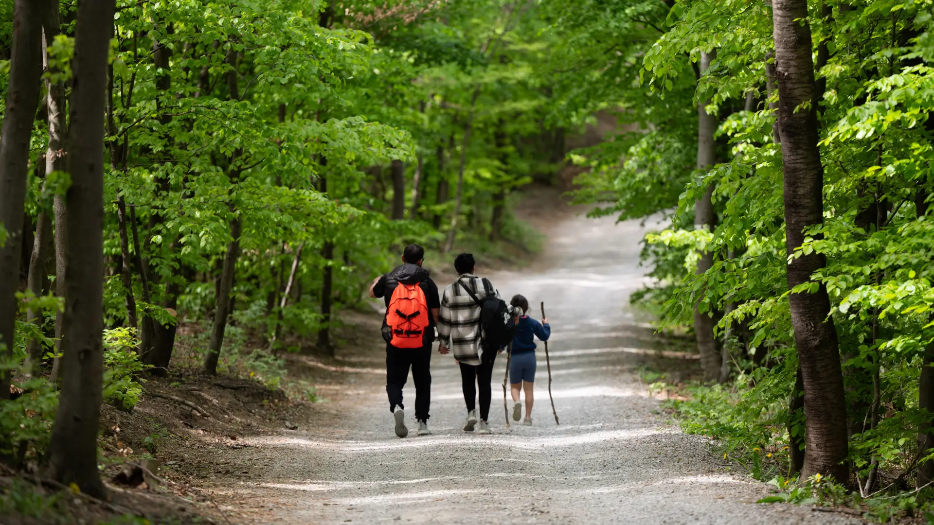 nature hike