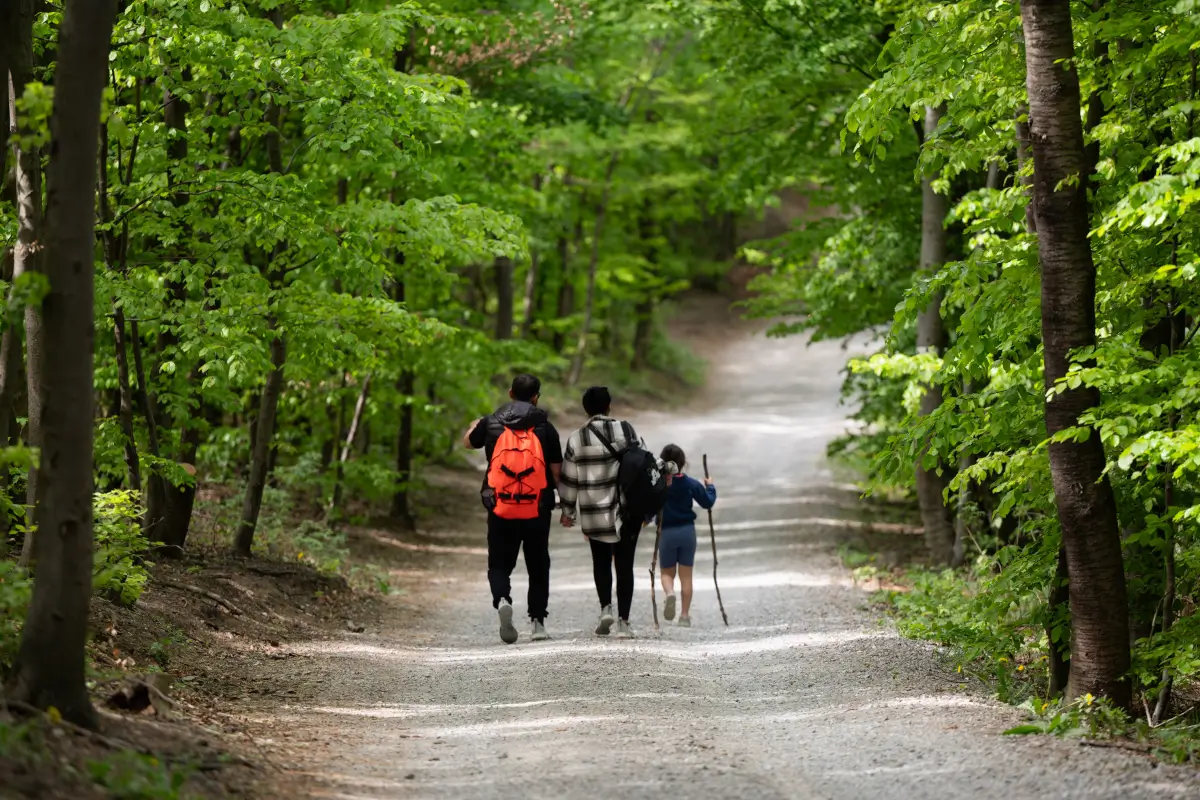 nature hike