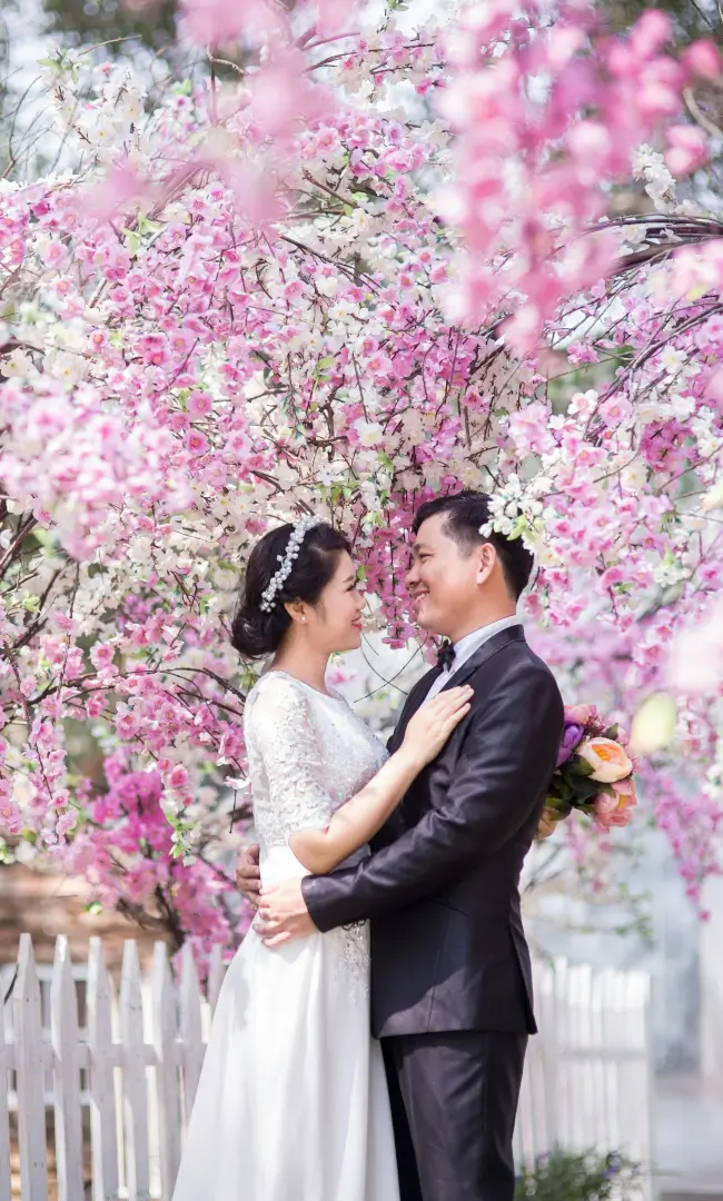 wedding couple under sakura trees