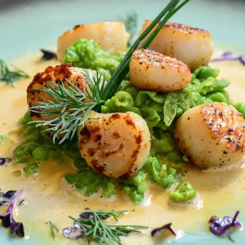 scallops