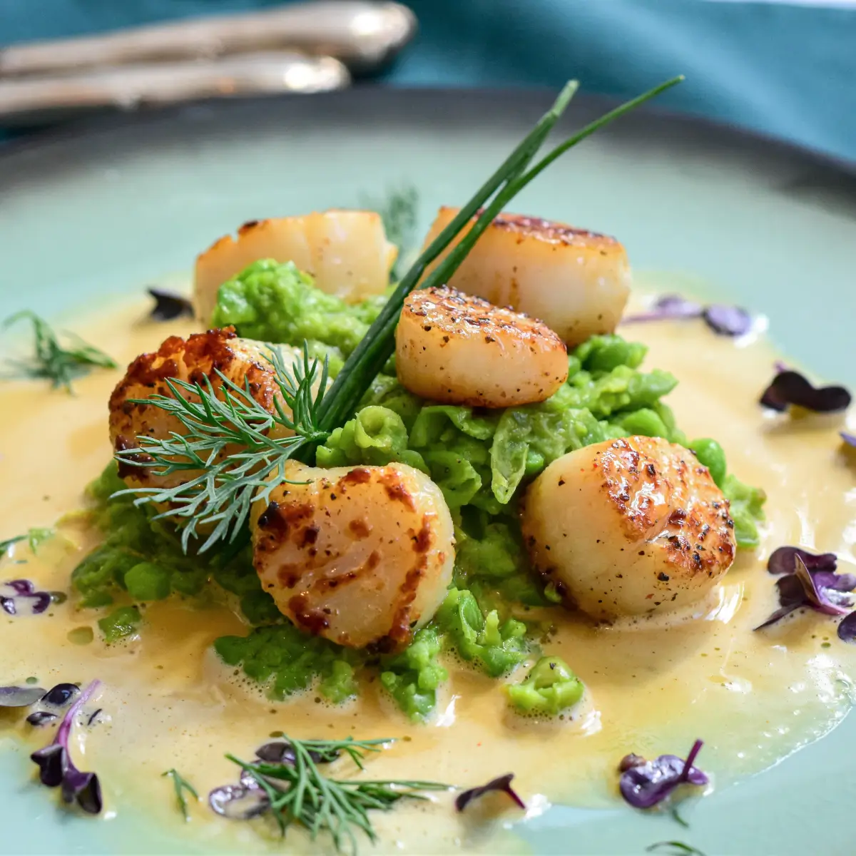 scallops