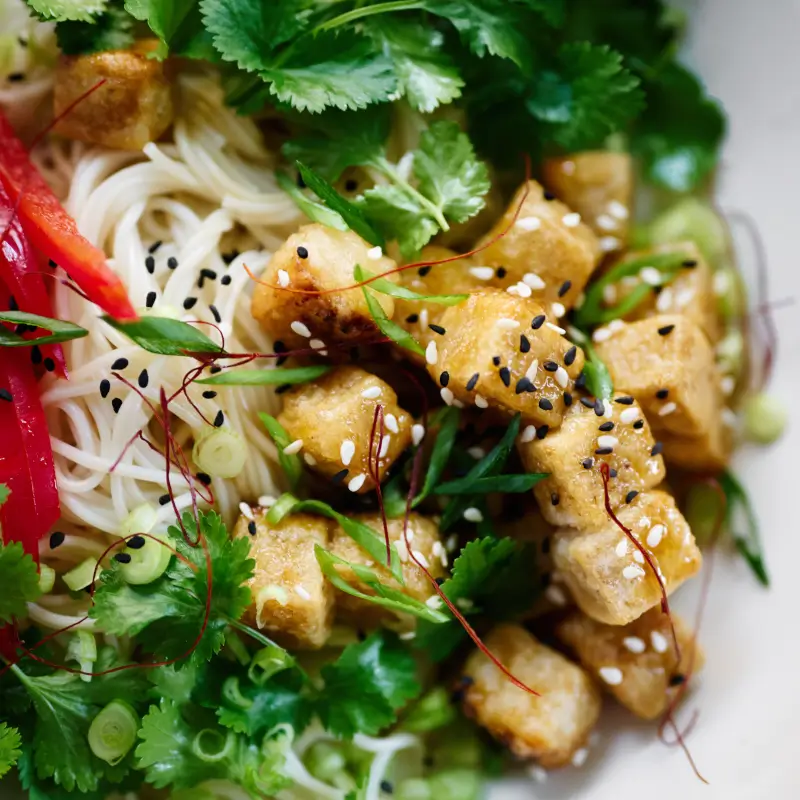 tofu noodles