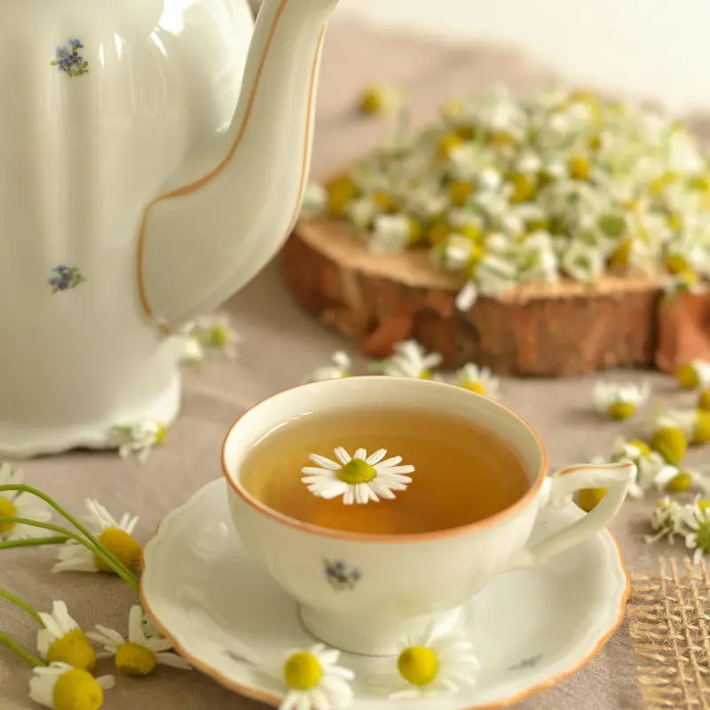 chamomile